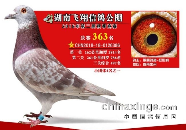 һ·�����15�꣡����ʷ�ᡰ����֡����ϰ�׭����