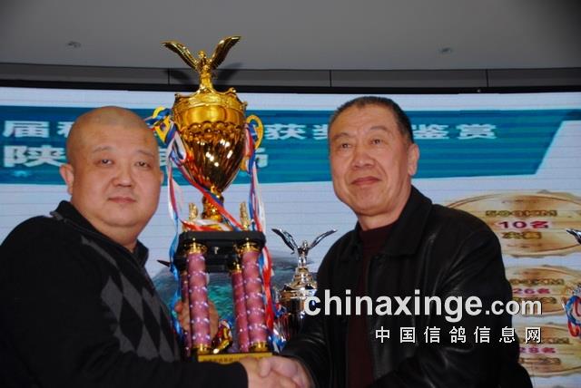 �������﹫���׽�񽱸�佱������˳��������ͼ��