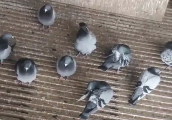 ����ʮ�� һ�δ�ѵ���ص����ǰ��