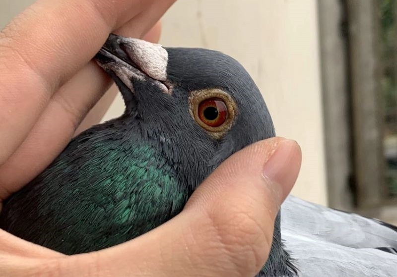 �����׸��ʱ���ã�