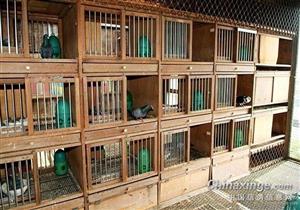 35�����ķ�������� 