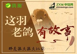 ��Ȧ�»���Ҳ������ö���