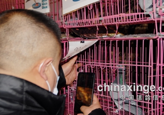 ����19��̨�� �������ĺø�