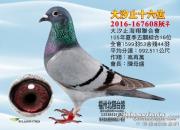 Ӱ��̨����Զ�ĸ�ϵ�����ĺ����̡�������