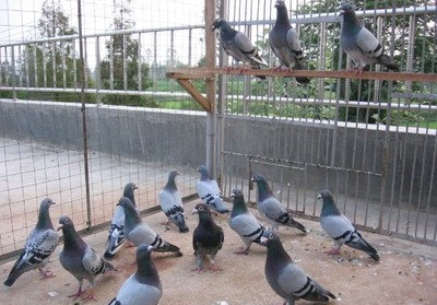 β������ô�ã�