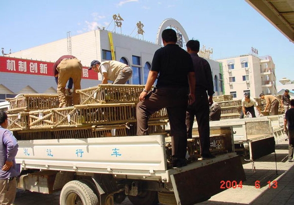 ��������Զ�� ����罫�Ǻ��־���