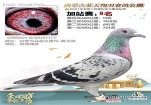 д���������Ŀ�ʼ���������ѷθ�֮��