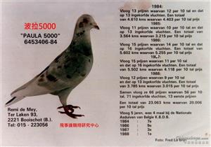 ����5000���ܷ��г�2�����λ����66��