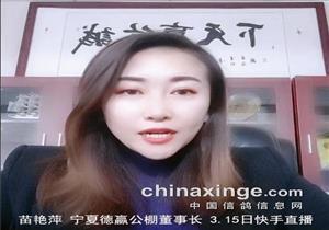 ����Ƽ����Ӯ����ĳɹ����룡��ͼ��