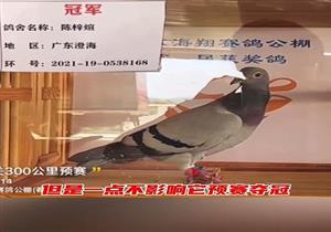 �ٹ����Ϯ����Ԥ���ھ� ��ǹƥ�������߷���