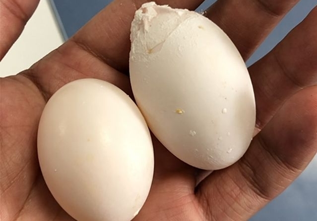 ���������о�ԺΪ�Ѳ���ĸ�ʸ�ȡ���޵�