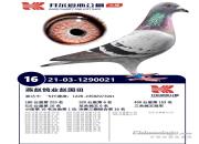 ���ǵĴ󿪶����ظ����ھ�