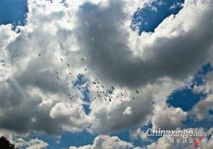 ����������������