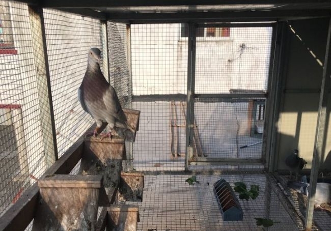 �������飿���ѣ���ǰҹҹ�ϸ� ������˯����