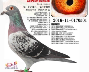 һ�����뻪�ˡ��������ӡ�