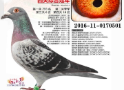 һ�����뻪�ˡ��������ӡ�