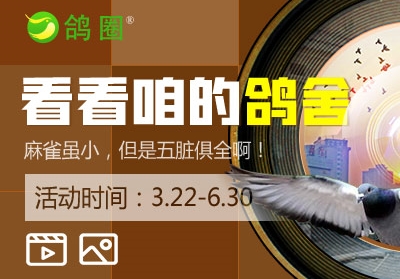 �������۵ĸ��ᡱ���� ������Ȧ�򿨰ɣ�