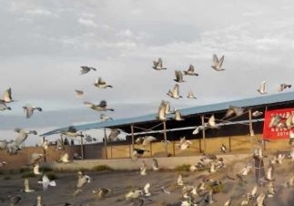 ������ϲ������ǰʮ �¶�ͨ�ڹ���