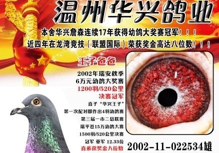 �����Ŵ����ھ��ġ����Ӱְ֡�