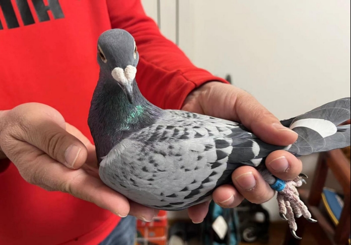 Ϊʲô�����ѣ�