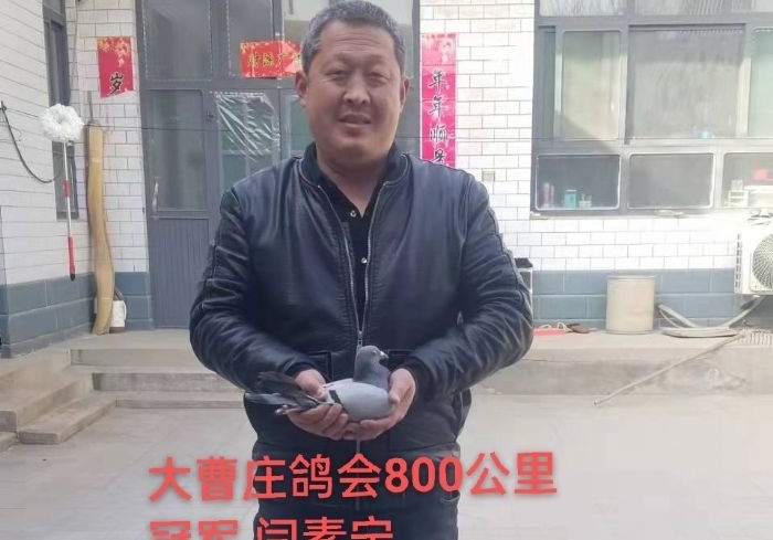 800����ھ������ظ������� Χ�ۺӱ����ׯս��