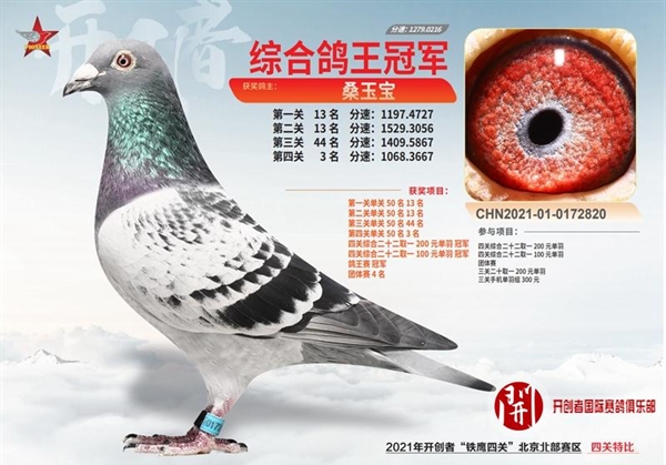 ���ۣ�ʲô�Ǻø��ӣ�ƾ�������С����룿