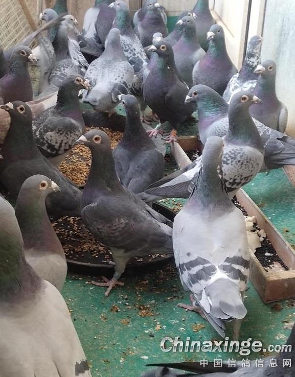 ����̸Ǯ�˸���