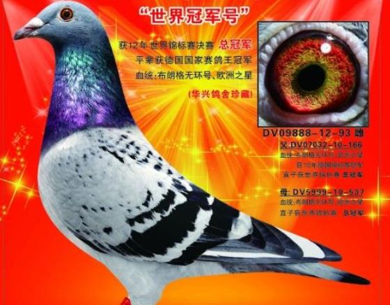 ���ˡ�����ھ��š� �������Ǽ�������