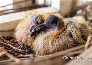 ���޶��� �ٹ���Ҳ�������񽱸�