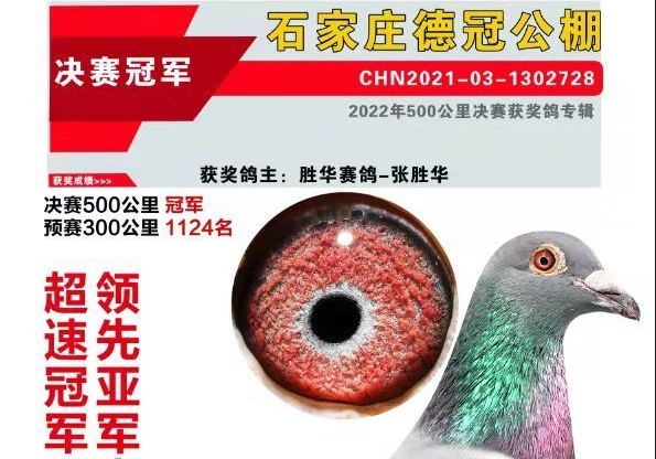 �ӱ��¹ڼ�վ��һ�������캽�鳲