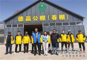 ԽսԽ�м��飺��Ӯ����5114��ս������ڶ�����