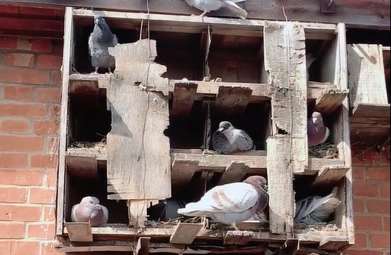 ���ۣ�����ª�ﻹ�ܳ��ھ���