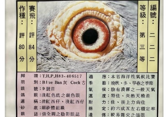 �������ĵ�̨�������ϣ�һ��ֽ��͸һֻ��