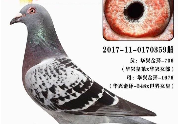 ÿ��һ�룺�Ĺظ����Ǿ����ˡ�����Ů����