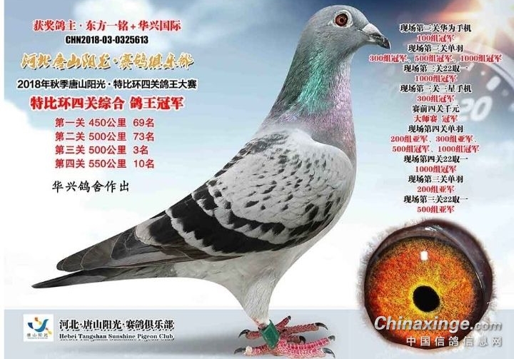 ÿ��һ�룺��һ��ʮ����