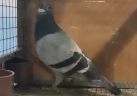 ������չ�ط�ϵ�У�����һ���ƪ