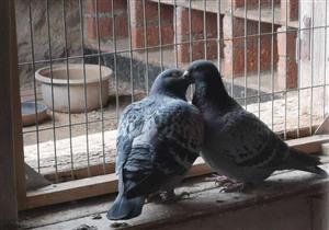 ��н�����ˣ�������ϱ�������������ܵĸ���