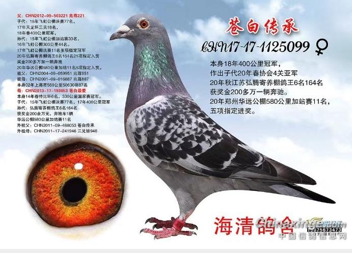 ΰ��ĸ�ס��԰״��С� Э��������ø���