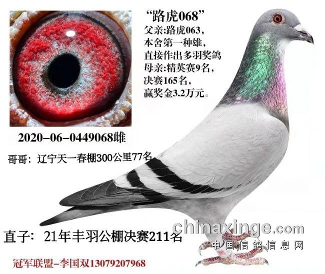 �ɸ�������ͬ�� 5�귢�����