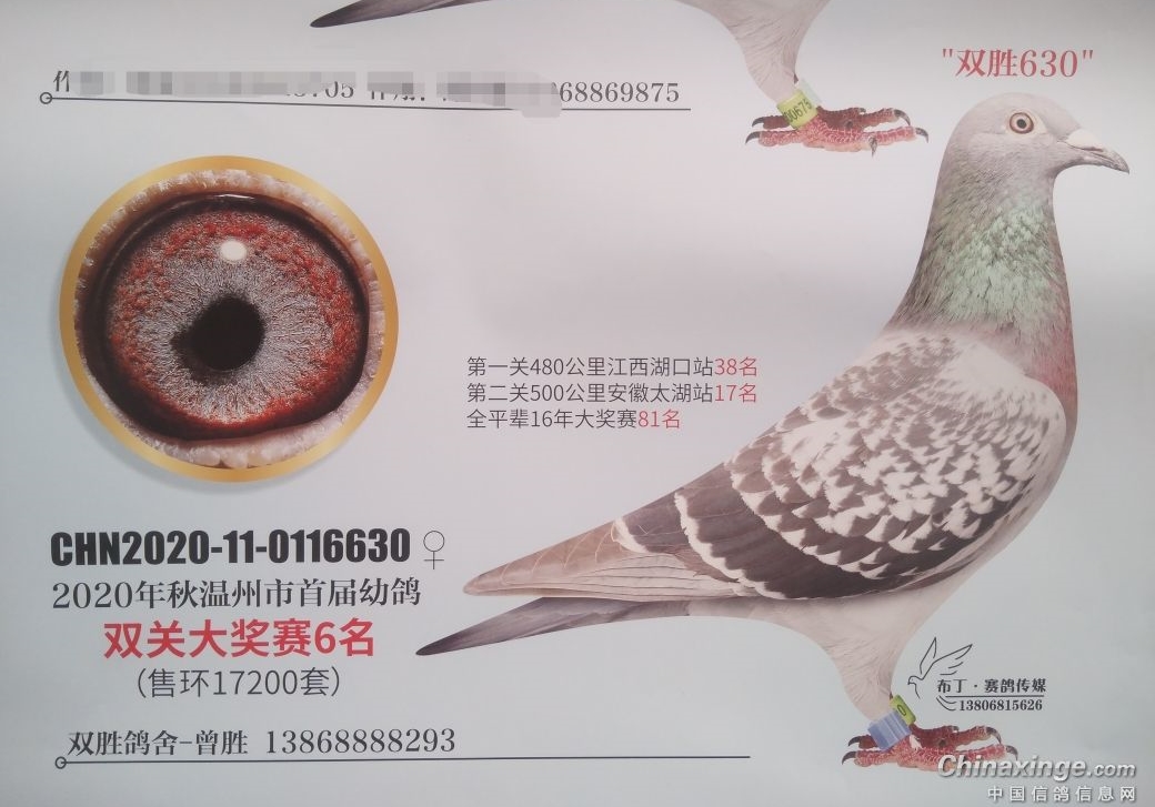 �ٻ����󽱵ġ�˫ʤ���塱