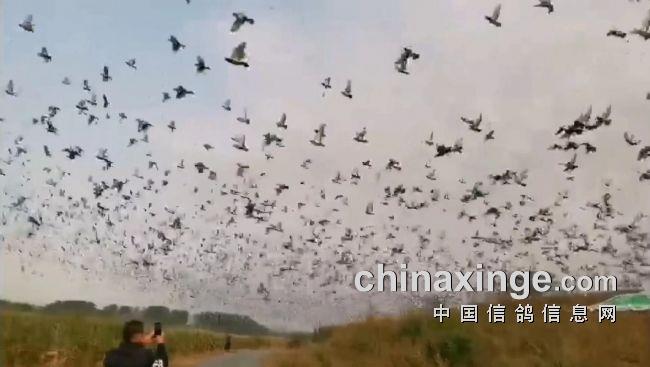 ֣�ݴ���������֮��