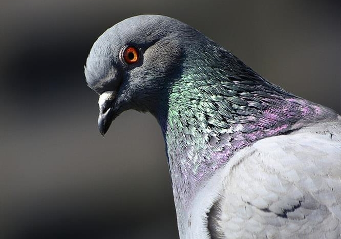 ����С˵�����ɡ������������� ����ս���ü�