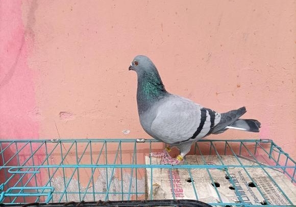 �Һ��ҵĸ��ӣ���һ����Ե�����˵ã�