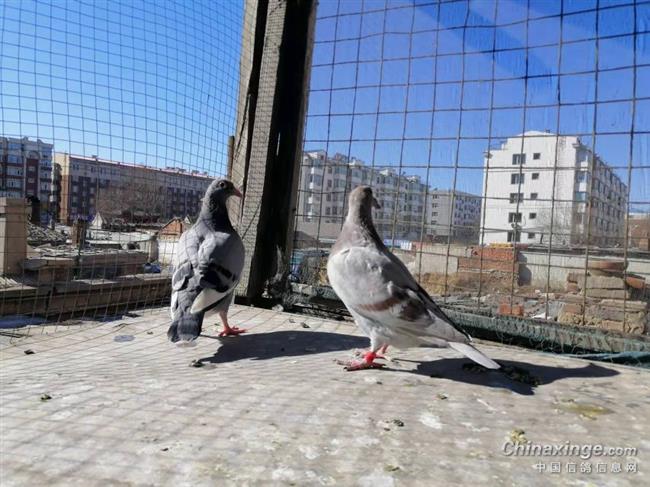 ���ִ����ۣ���α��⻨Ǯ�ϵ���