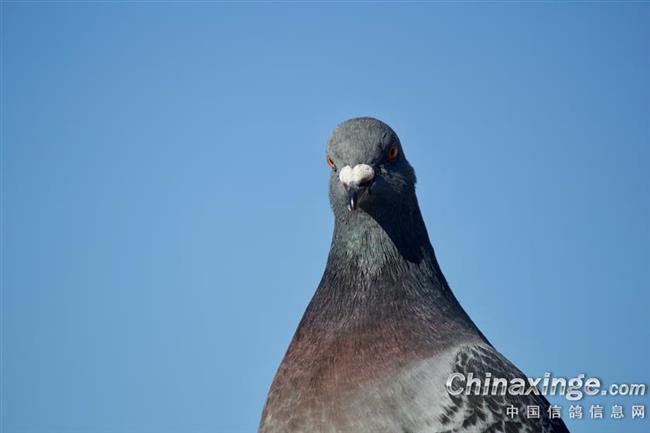 ǧ����û�䣺�Ƿ�չ�ĳ��� ������Ϊ�������