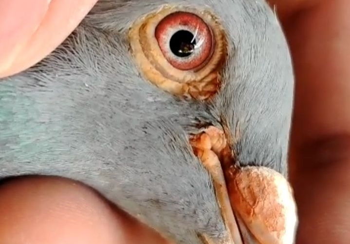 ��λ������ô�䣿