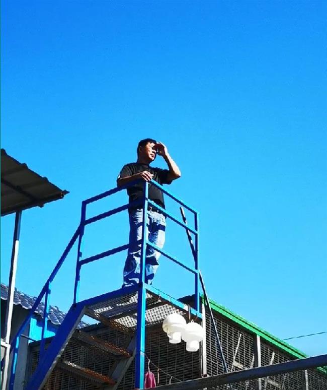 ����ò��ú�ѵ��