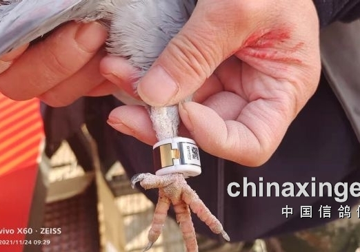 ���ӣ�̫���ˣ���GPS���ҵ��״�������