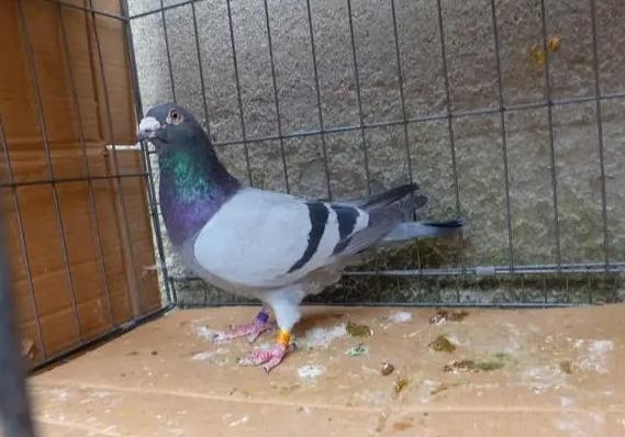 �߼�����ֵ��ֵ��