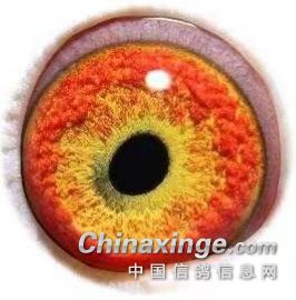 ������ͼ�¹�ϵ